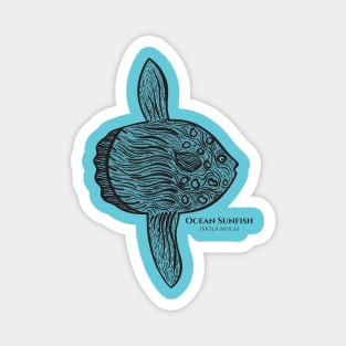 Ocean Sunfish with Common and Scientific Names - fish design Magnet