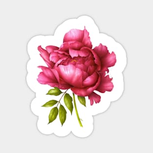 Pink peony Magnet