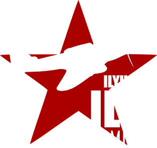 IL-2 Shturmovik Magnet