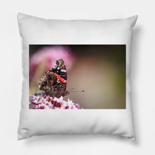 Red Admiral Butterfly Pillow