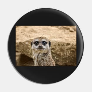 Meerkat Pin