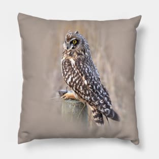 Stunning Portrait of a Short-Eared Owl in the Marsh Pillow