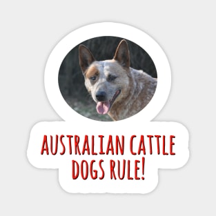 Australian Cattle Dogs Rule! Magnet