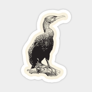 Cormorant Magnet