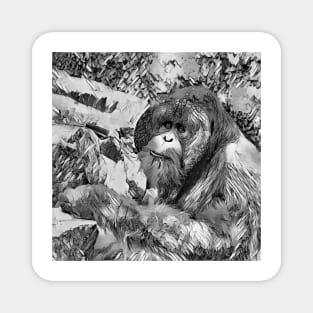 AnimalArtBW OrangUtan 001 Magnet