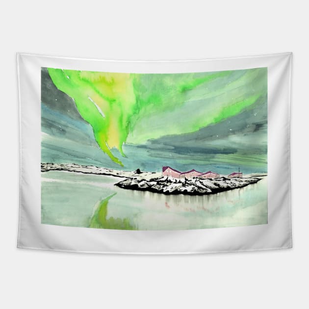 Northern Lights Tapestry by WaterGardens