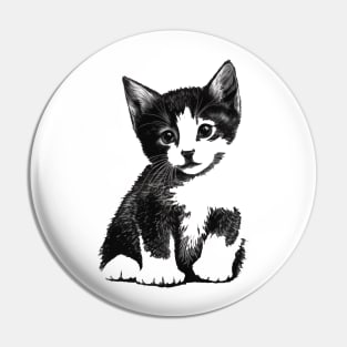 cute cat kitten Pin