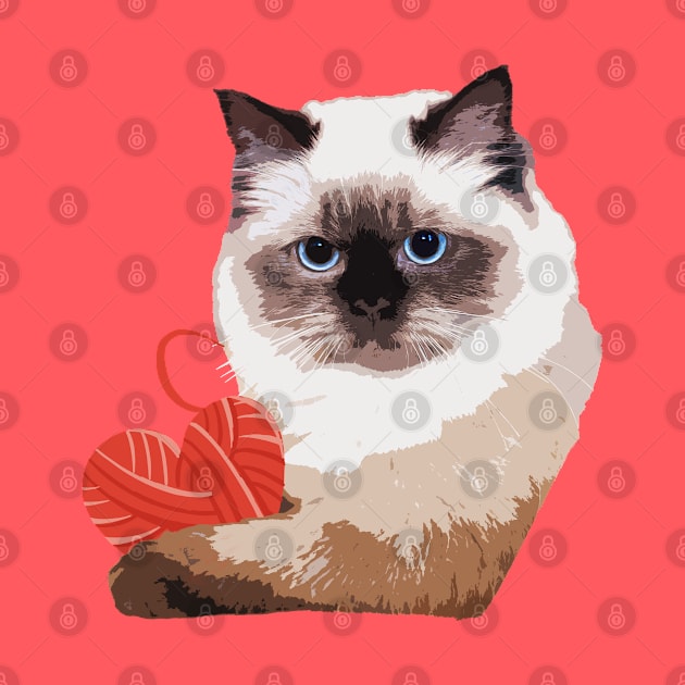 Cute Chocolate Ragdoll for kitten lovers Drawing Kitty Adoption by SHB-art