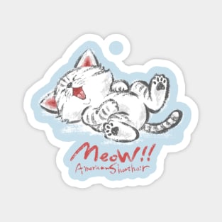 Pampered American Shorthair Magnet