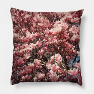 magnolia flowers Pillow