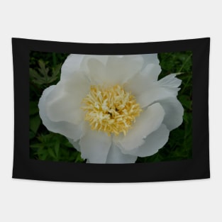 Precious White Peony Tapestry