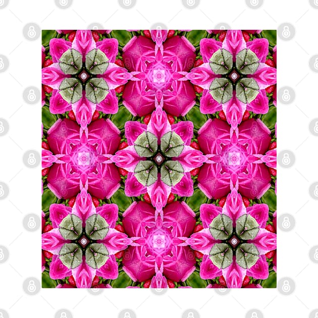 Valentine's Day pink rose pattern. by PatternFlower