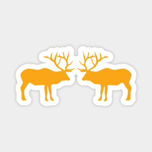 American Elk (Sunrise) Magnet