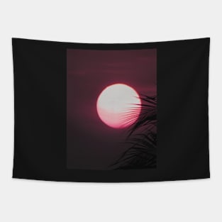 Moon, Palm, Tropical landscape palms, Sky, Nature print Tapestry