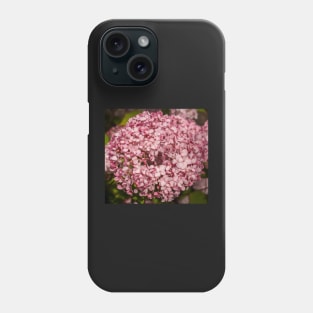 Beautiful Pink Hydrangea Flower Closeup. Phone Case