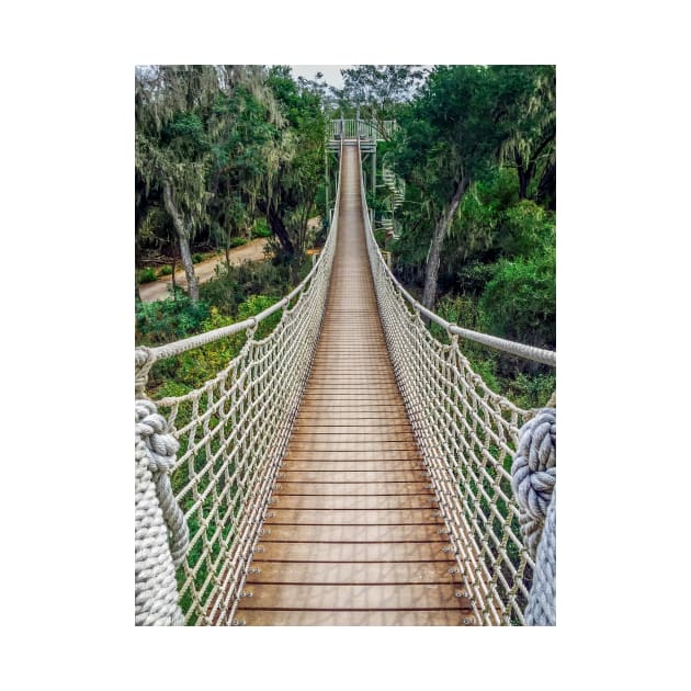 Canopy Trail at Santa Ana Wildlife Refuge by Debra Martz