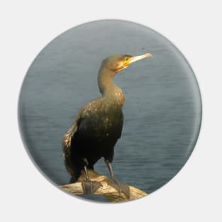 Cormorant Pin