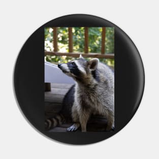 Raccoon Portrait Pin