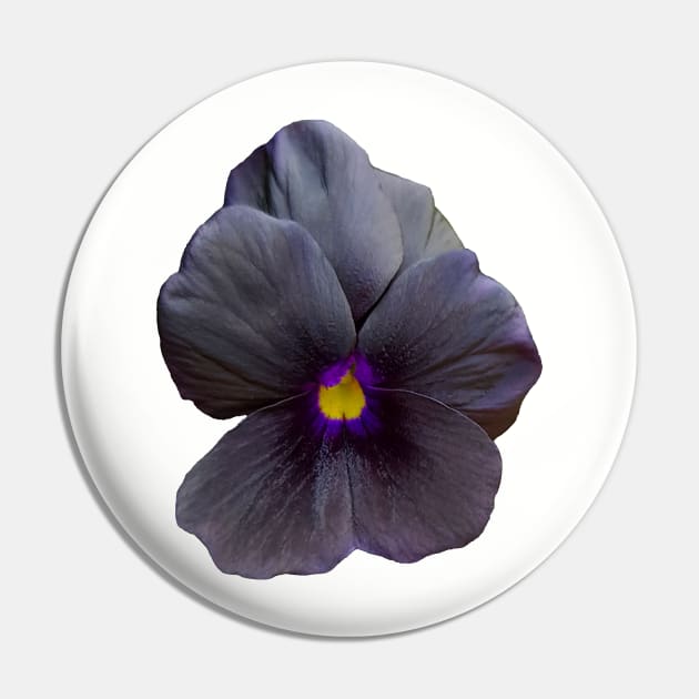 Black Viola Flower Photo Pin by ellenhenryart