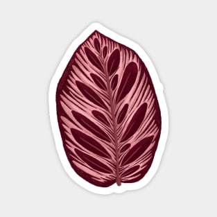 Calathea Makoyama Leaf Magnet