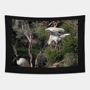 Flight's End: Australian White Ibis, South Australia Tapestry