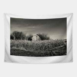 Dilapidated Barn Tapestry