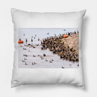 Large Gathering of Cormorants by Debra Martz Pillow