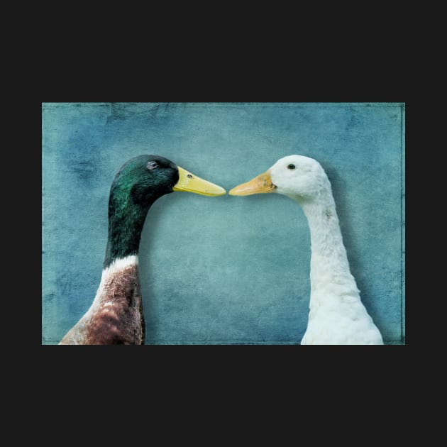 A pair of Indian Runner Ducks by WesternExposure