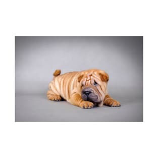 Shar pei puppy T-Shirt