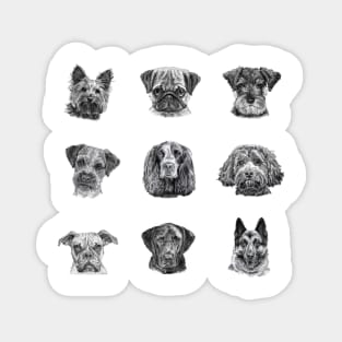 Woof - popular dogs Magnet