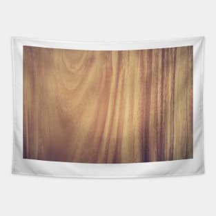 Abstract antique backdrop background Tapestry