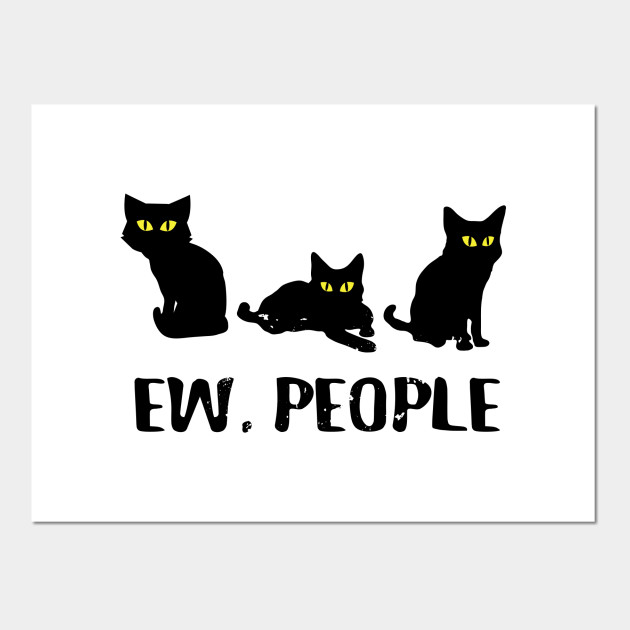 meowy cat shelter