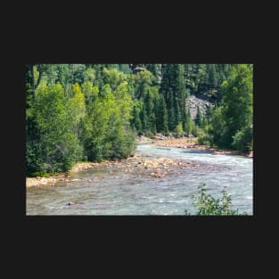 Animas River T-Shirt