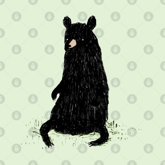 Black Bear by Sophie Corrigan