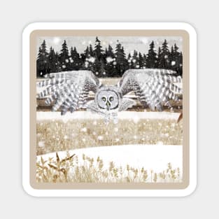 Great grey Owl Magnet