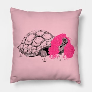 Tortoise and his Hair Pillow