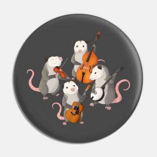 Possum band Pin