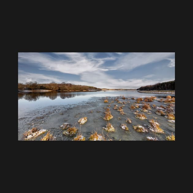 Frozen Derwent Reservoir by Reg-K-Atkinson