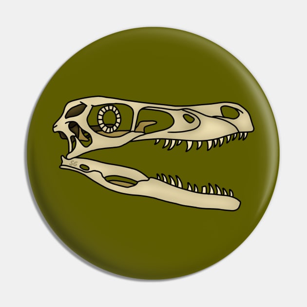 Velociraptor skull Pin by saradrawspaleo