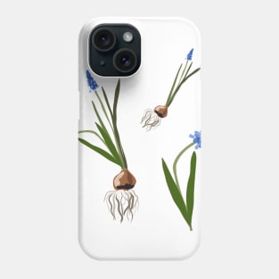 Muscari flowers Phone Case