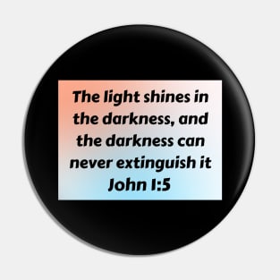 Bible Verse John 1:5 Pin