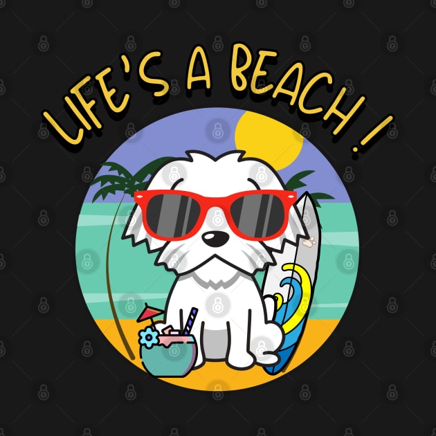 Cute White Dog Goes to the beach by Pet Station