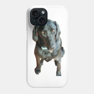 lab puppy Phone Case