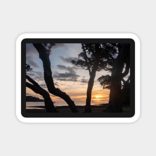 Mulberry Grove Beach Sunset. Magnet