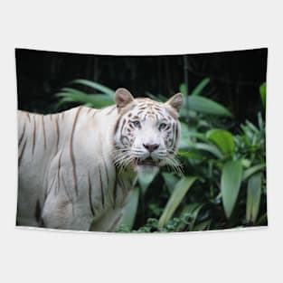 Jungle Cat Tapestry