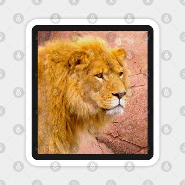 I Am Lion Hear Me Roar Magnet by ninasilver