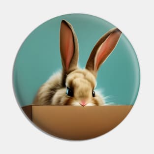 Bunny in a Box Pin