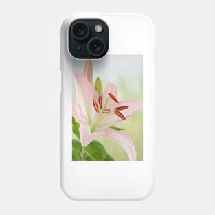 Lilium  Lily Phone Case