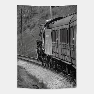 Steamy Ridings Tapestry