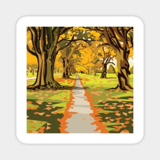 Hagley Park Walk Magnet